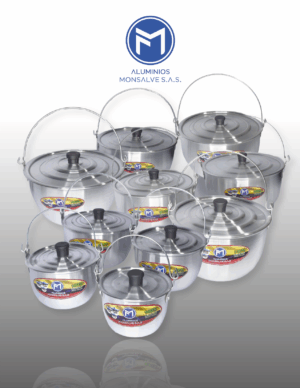 JUEGO OLLA X10 DE ARO