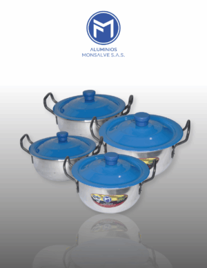 JUEGO DE ARROCERA X4 18-20-24-26 TAPA COLOR