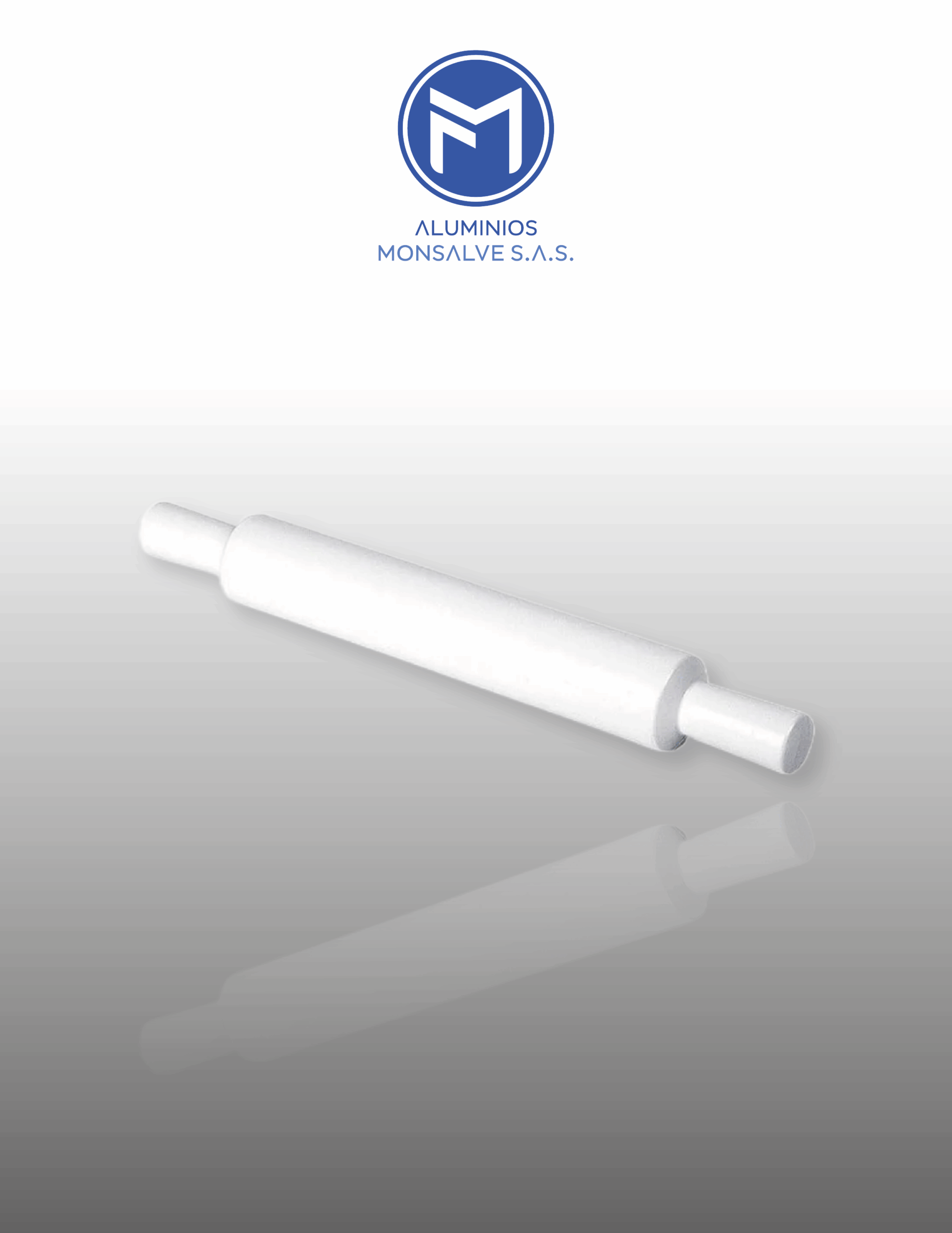 RODILLO GRANDE PLASTICO